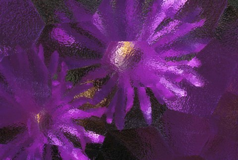 Framed Purple Ice Print