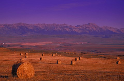 Framed Hay Bales with Mountains Print