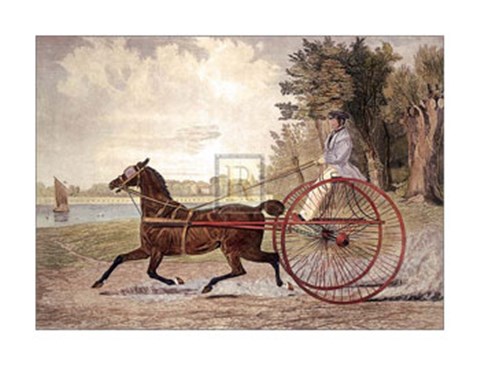 Framed Lady Hampton Print