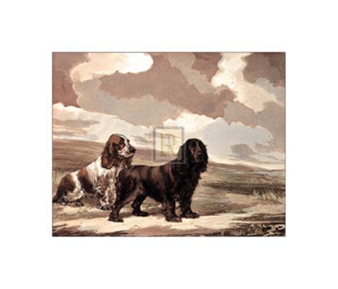 Framed Cockers Print