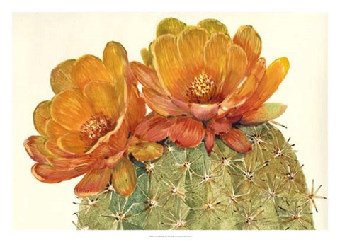 Framed Cactus Blossoms II Print