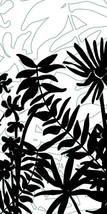 Framed Rainforest Ferns II Print