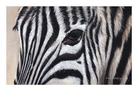 Framed Zebra Eyes Print