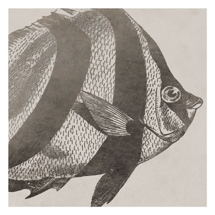 Framed Vintage Fish I Print