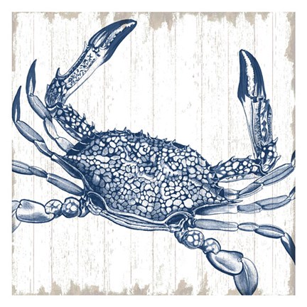 Framed Seaside Crab Print