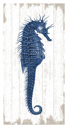 Framed Seahorse in Blue I Print