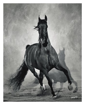 Framed Struttin His Stuff Print