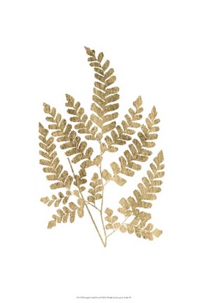 Framed Graphic Gold Fern II Print