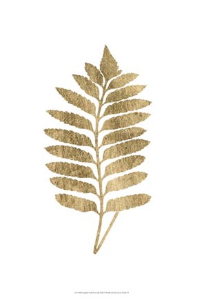 Framed Graphic Gold Fern III Print