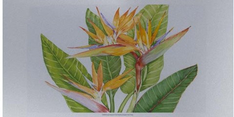 Framed Exotic Flowers II Print