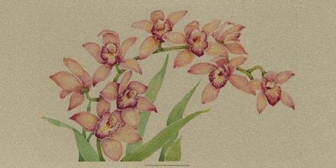 Framed Exotic Flowers III Print