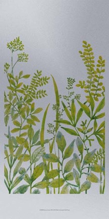 Framed Pattern of Leaves III Print