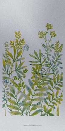 Framed Pattern of Leaves IV Print