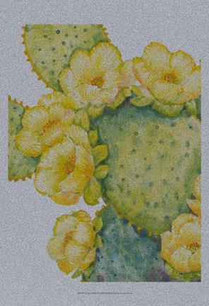 Framed Cactus on Silver I Print