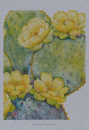 Framed Cactus on Silver II Print