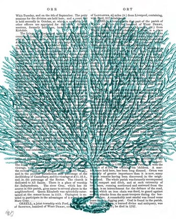 Framed Blue Corals and Sea Urchins IV Print