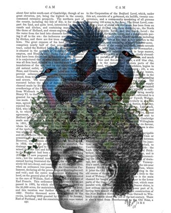 Framed Woman with Blue Birds On Head Print
