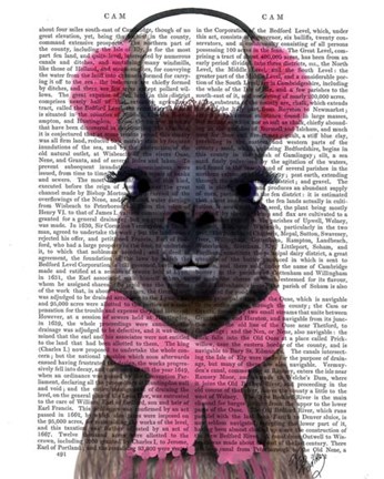 Framed Chilly Llama, Pink Print