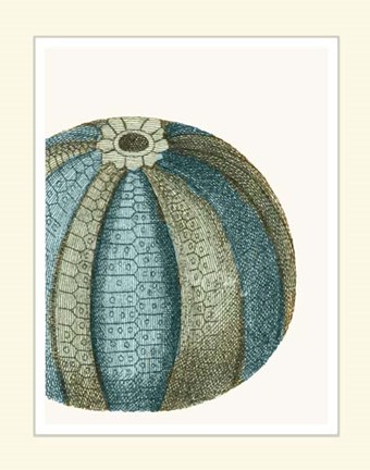 Framed Blue Underwater Scenes 2 a Print