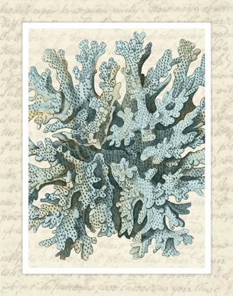 Framed Blue Corals On VIntage Script c Print