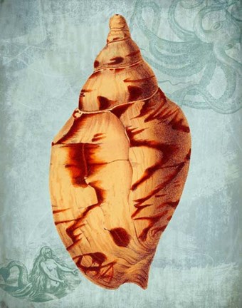 Framed Coastal Life Collection 2 d Print