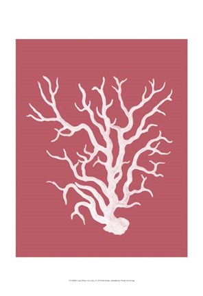 Framed Corals White on Coral a Print