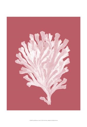 Framed Corals White on Coral d Print
