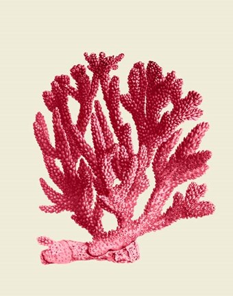 Framed Red Corals 1 a Print