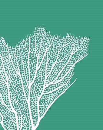 Framed Turquoise Coral Prints c Print