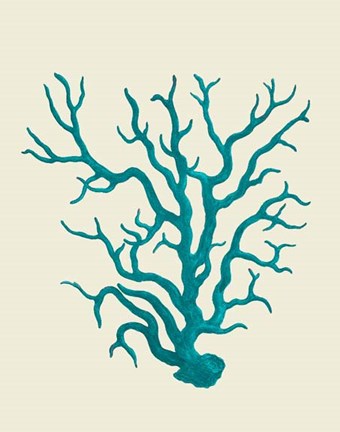 Framed Corals Turquoise On Cream a Print