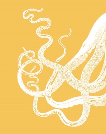 Framed Octopus Tentacles White On Mustard Print