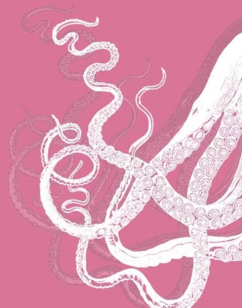 Framed Octopus Tentacles White On Pink Print