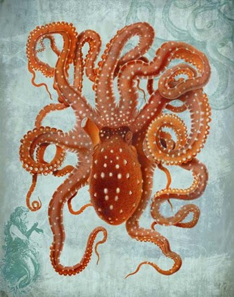 Framed Octopus 2 Print
