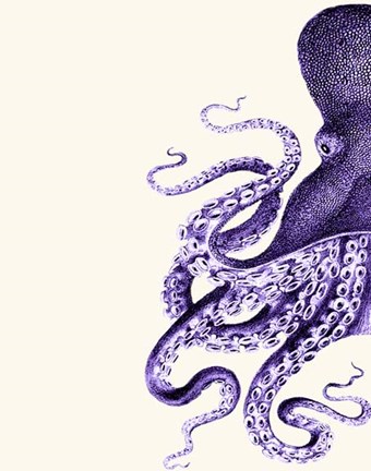 Framed Octopus Purple and Cream a Print