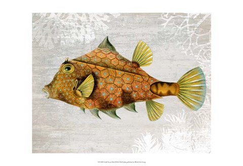 Framed Gold Turret Fish Print
