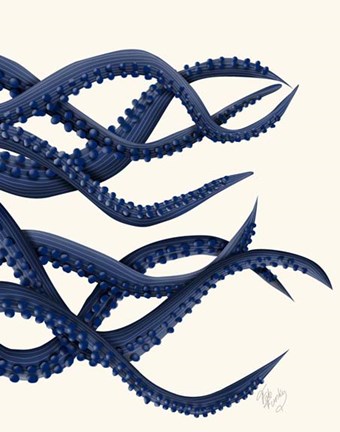 Framed Giant Octopus Blue Triptych c Print