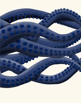 Framed Giant Octopus Tentacles a Print