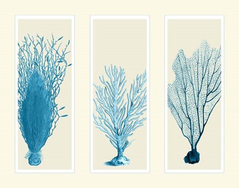 Framed Blue Corals on 3 Panels Print