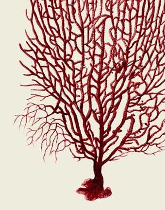 Framed Red Corals 2 b Print