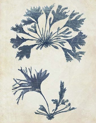 Framed Indigo Blue Seaweed 2 d Print