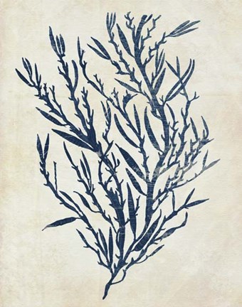 Framed Indigo Blue Seaweed 3 b Print