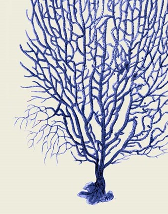 Framed Blue Corals 2 b Print