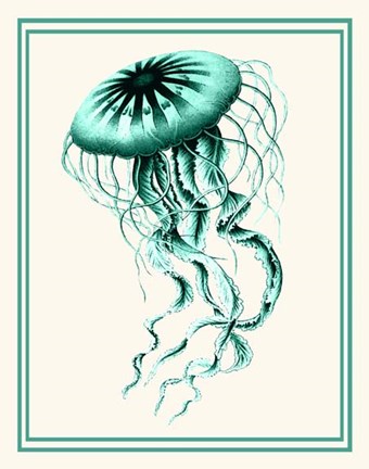 Framed Mixed Nautical Green on Cream c Print