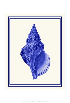 Framed Mixed Nautical Blue on Cream a Print