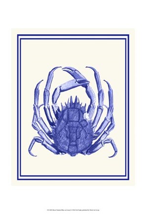 Framed Mixed Nautical Blue on Cream b Print