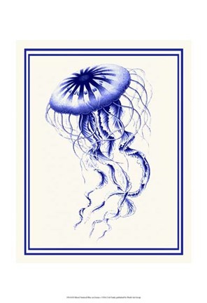 Framed Mixed Nautical Blue on Cream c Print