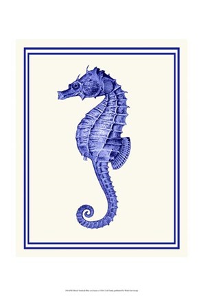 Framed Mixed Nautical Blue on Cream e Print