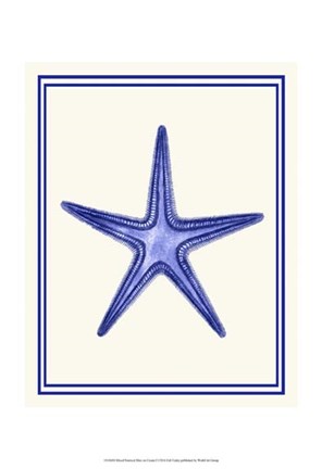 Framed Mixed Nautical Blue on Cream f Print