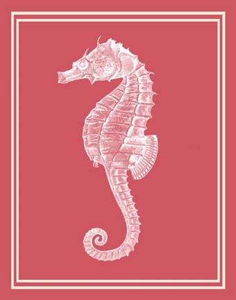 Framed Mixed Nautical White on Coral c Print