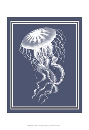 Framed Mixed Nautical White on Indigo Blue e Print